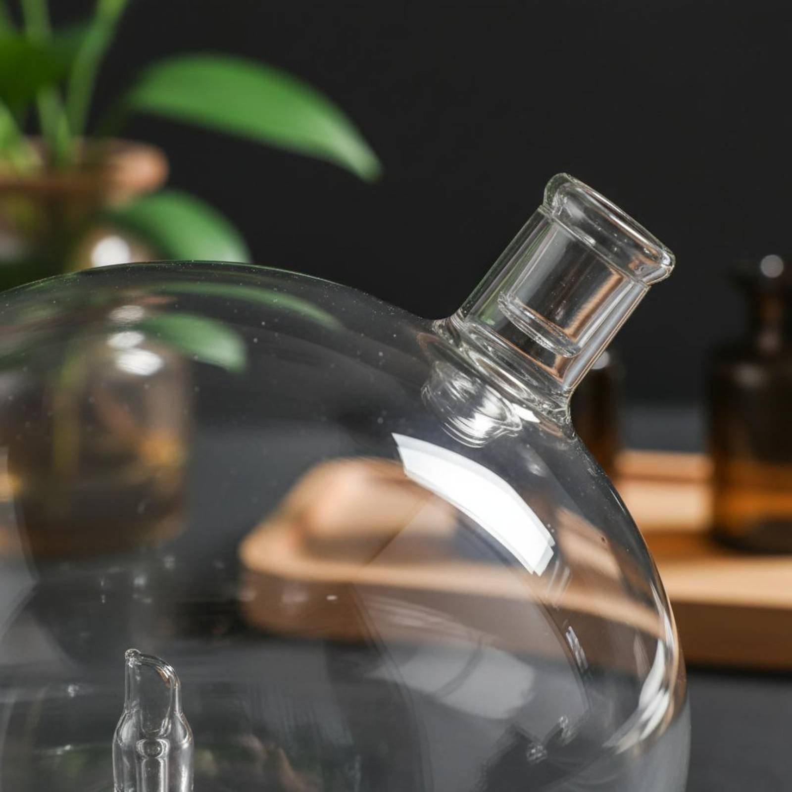 ディフューザーボトル ユニバーサルフィット ガラス交換用 ウ - Fragrance In Home のレビューと価格
